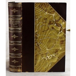 Men, Women & Manners in Colonial Times: Vol. II